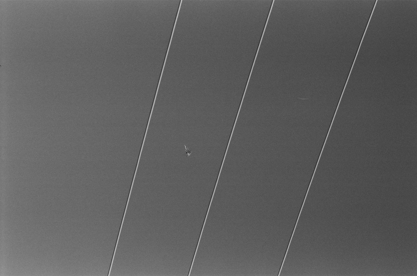 A black & white photograph of a kite between high voltage wires, resembling a grace note