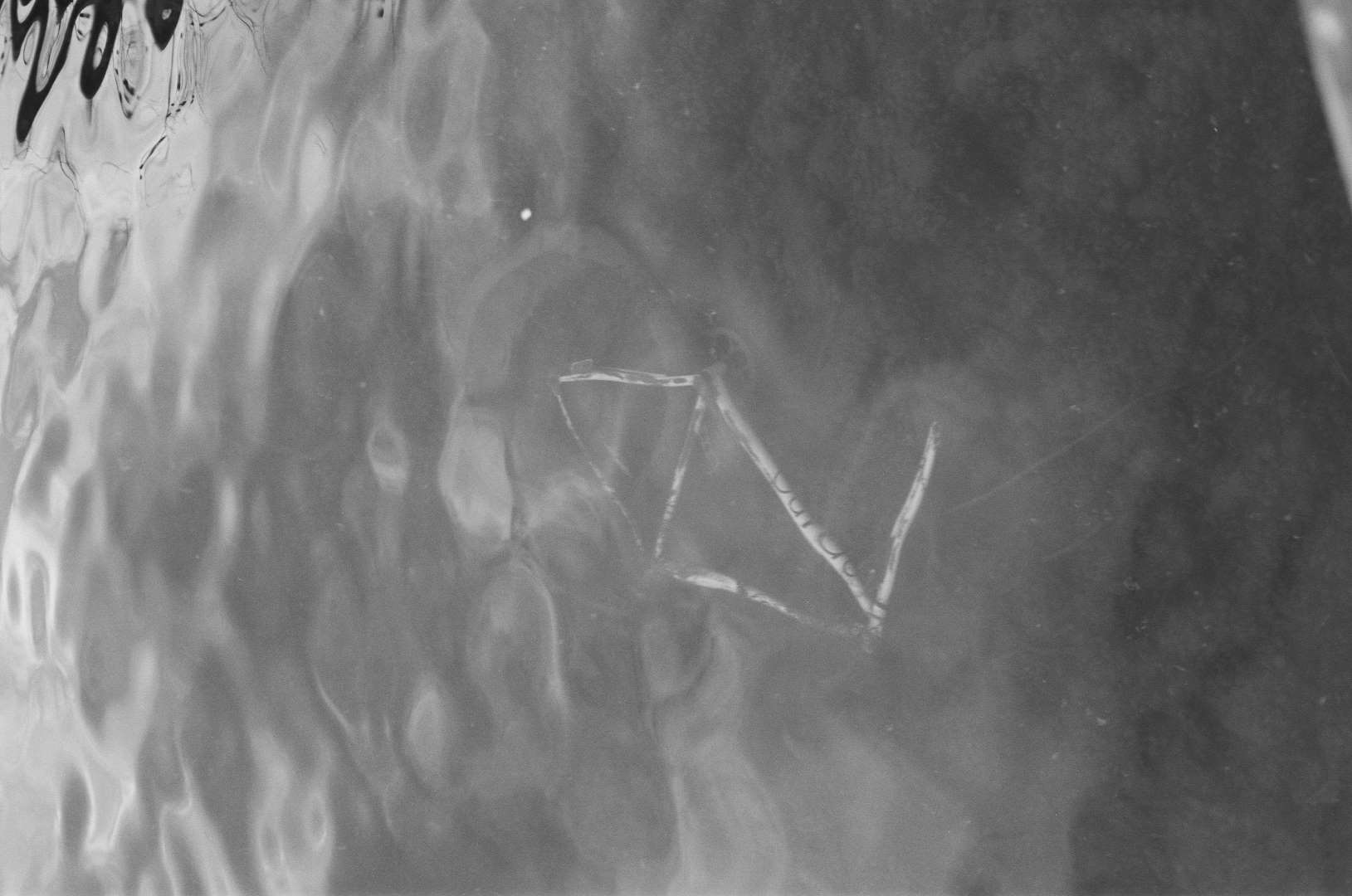 A black & white photograph of a bicycle thrown in a lake, nostalgic and mornful