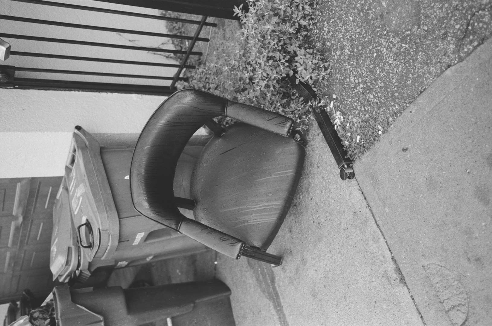 A black and white photograph of a broken leather armchair left out on the sidewalk. The leather is dripping with the morning dew.